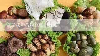 白玉菇和茶树菇哪个好吃