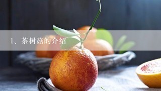 茶树菇的介绍