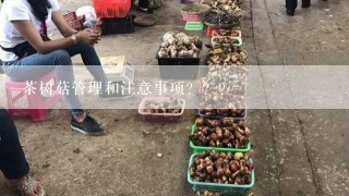 茶树菇管理和注意事项？？？