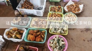 这是什么野生菌 不是茶树菇 好多说是茶树菇 湖北哪些地方有这种野生菌 四川叫青冈菌！！！！