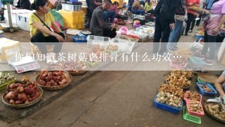 你们知道茶树菇褒排骨有什么功效…