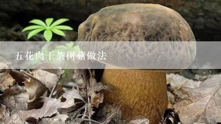 五花肉干茶树菇做法