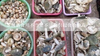 茶树菇食用不当是不是会引起食物中毒