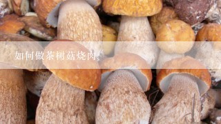 如何做茶树菇烧肉