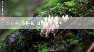 金针菇 茶树菇 日语怎么说阿