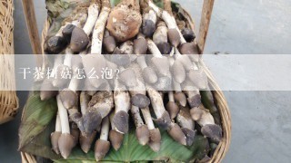 干茶树菇怎么泡？