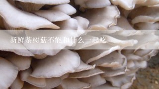 新鲜茶树菇不能和什么一起吃