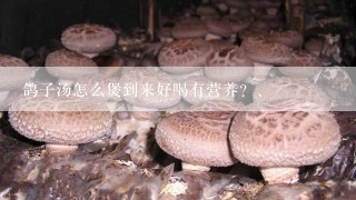 鸽子汤怎么煲到来好喝有营养？、