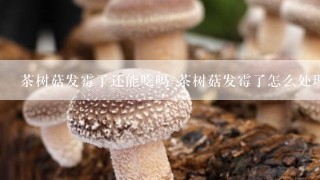 茶树菇发霉了还能吃吗 茶树菇发霉了怎么处理