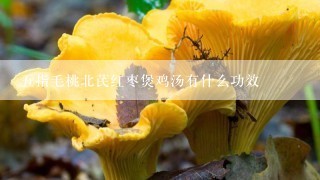 五指毛桃北芪红枣煲鸡汤有什么功效