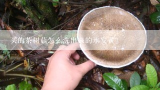 买的茶树菇怎么洗出来的水发黄？