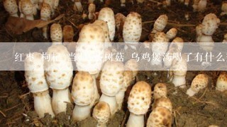 红枣 枸杞 当归 茶树菇 乌鸡煲汤喝了有什么效果？