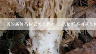 买的新鲜茶树菇怎么保存 买的新鲜茶树菇如何保存