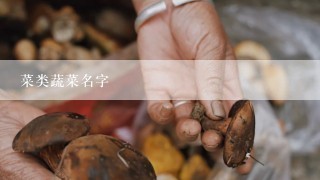 菜类蔬菜名字