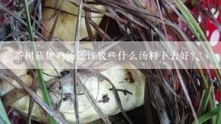 茶树菇煲鸡汤还该放些什么汤料下去好？