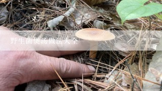 野生菌煲汤做法大全