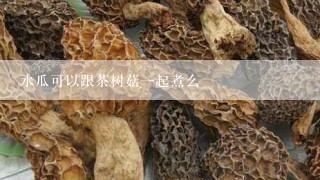 水瓜可以跟茶树菇一起煮么