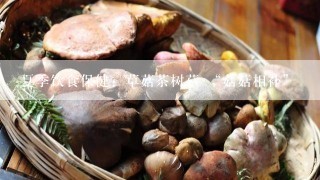 夏季饮食保健：草菇茶树菇 “菇菇相补”