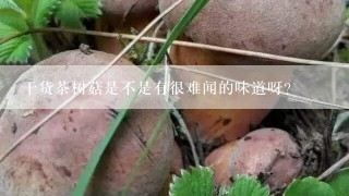 干货茶树菇是不是有很难闻的味道呀？