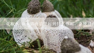 花椒水 放入猪肉馅里起到什么作用，会使猪肉产生什么样的效果，或者有什么样的作用。