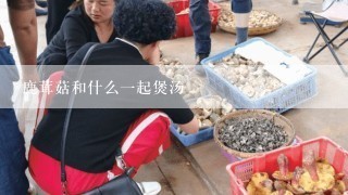 鹿茸菇和什么一起煲汤