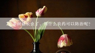 茶树菇长虫了，用什么农药可以防治呢？