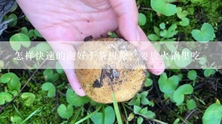 怎样快速的泡好干茶树菇？要放火锅里吃