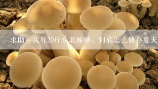 求助：我有20斤东北榛蘑，到底怎么储存夏天才能不坏