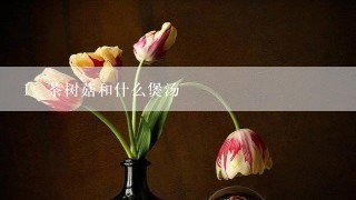 茶树菇和什么煲汤