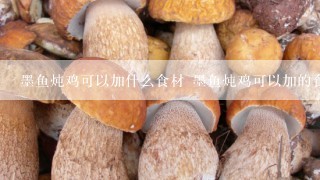 墨鱼炖鸡可以加什么食材 墨鱼炖鸡可以加的食材分别