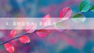 茶树菇煲汤，茶树菇汤