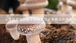 干茶树菇怎么泡才不硬我把干茶树菇用热水泡一晚上过硬儿切还发黑？