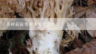 茶树菇菇要煮多久才会熟