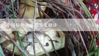 中国特色菜及其英文翻译