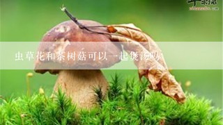 虫草花和茶树菇可以一起煲汤吗