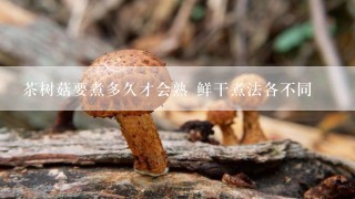 茶树菇要煮多久才会熟 鲜干煮法各不同