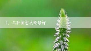 羊肚菌怎么吃最好