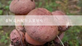 茶树菇和配什么菜好吃？