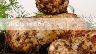 茶树菇烧肉怎么做好吃