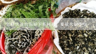 怎样快速的泡好干茶树菇？要放火锅里吃