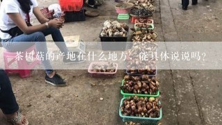 茶树菇的产地在什么地方，能具体说说吗？