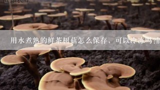 用水煮熟的鲜茶树菇怎么保存，可以冷冻吗?能保存多少时间!?