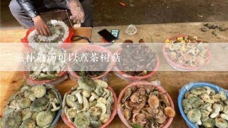 滋补鸡汤可以煮茶树菇