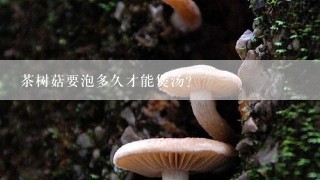 茶树菇要泡多久才能煲汤？