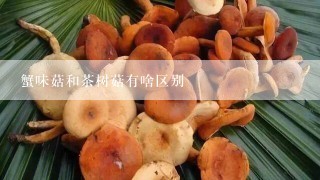 蟹味菇和茶树菇有啥区别