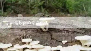 茶树菇炒肉的家常做法