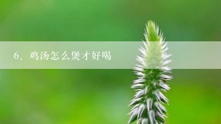 鸡汤怎么煲才好喝