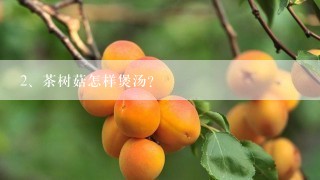 茶树菇怎样煲汤?