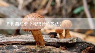 茶树菇红萝卜炖鸭汤的做法？