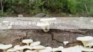 茶树菇泡出来的水是淡棕色？